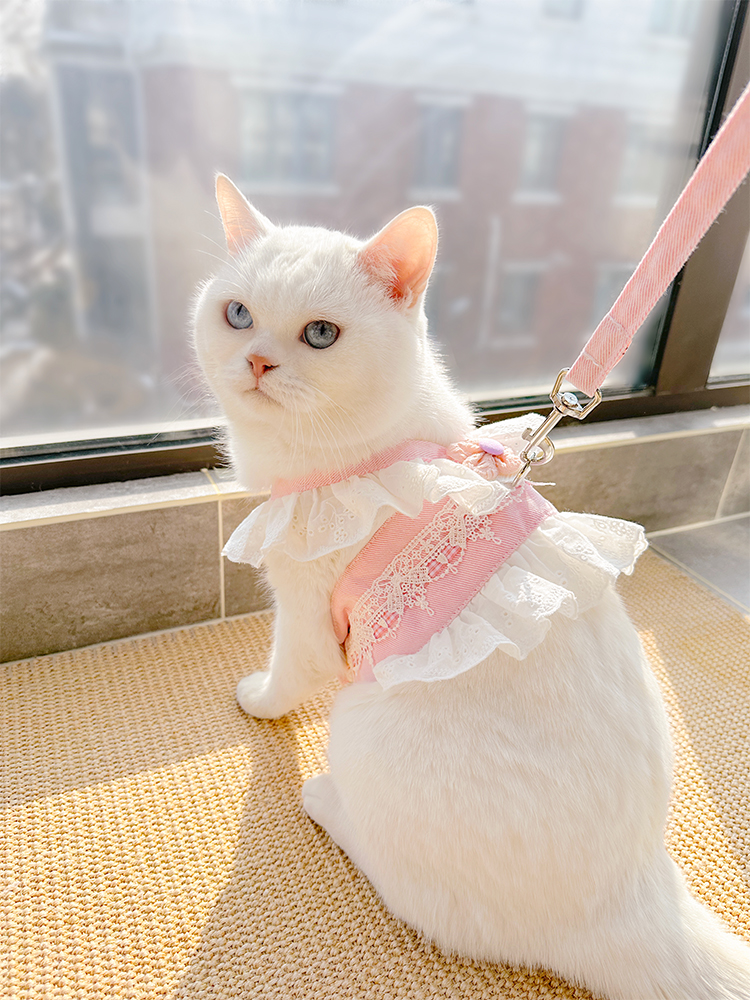 Sweet Vest Traction Rope Pet D - Summer Clothing Release reseña y precio