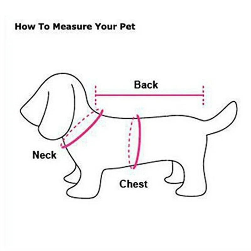 Outdoor Pet Clothes Dog Harnes - Summer Clothing Release reseña y precio